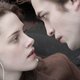 TwilightVamp13 TwilightVamp13