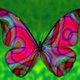 Butterflytes