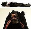 Love It or Hate It? Great Sleeping Bear
