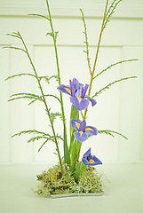 Ikebana
