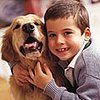 Win an Iams Package For Your Cat or Dog and Two Kuranda Beds For Shelter Pets