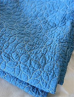 Nice and New: Amy Butler's New Organic Quilt Line