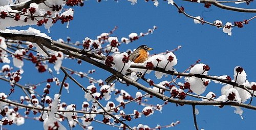 Are You Over Winter?