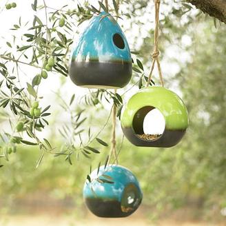 Do You Have a Bird Feeder?