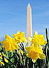 Open House: What's Blooming?
