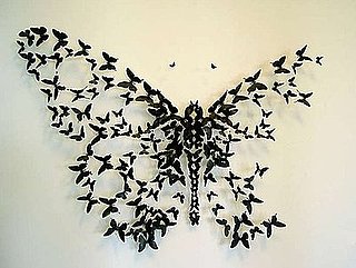 Guess What These Butterflies Are Made From?