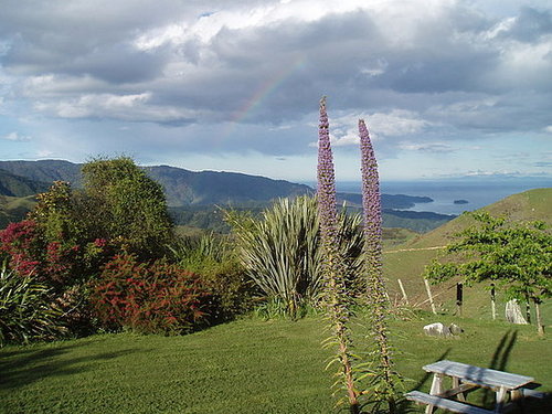 Do You Have a Gorgeous View?