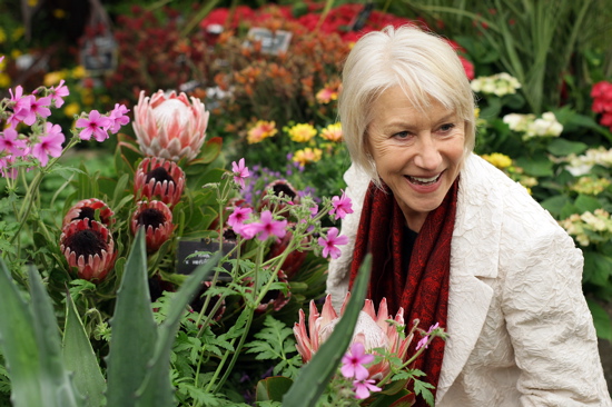 Guess What Flower Dame Mirren Is Admiring?
