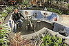 Love It or Hate It? Motorhead-Inspired Garden