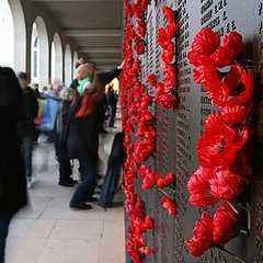 Memorial Day Poppy Quiz!