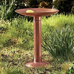 Casa Quickie: Ice Your Birdbath Casa Quickie: Ice Your Birdbath