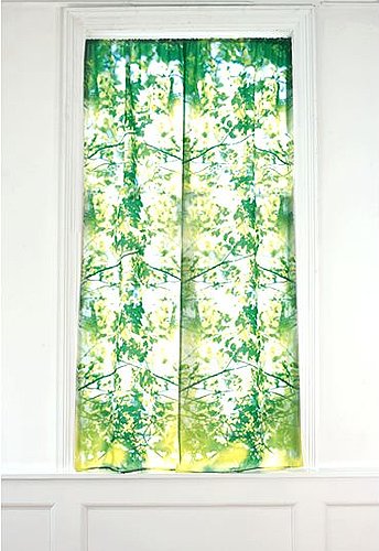 Cool Idea:  Curtains to Improve the View