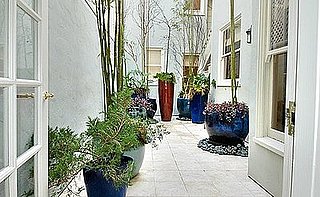 How-To: Create a Simple and Elegant Patio Garden
