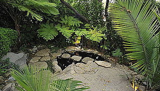 Do You Landscape With Tropical Foliage?