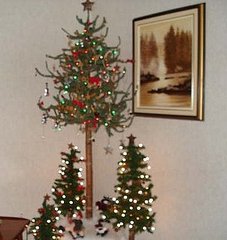 Love It? Hate It? Christmas Tree