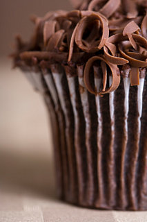 What Food Could you Not Live Without?