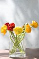 How to Keep your Flowers Fresh