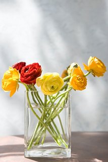 How to Keep your Flowers Fresh