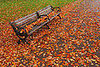 Do Tell: What's Your Favorite Part About Fall?