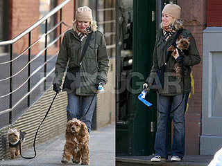 Naomi Walks Her Four Legged Children