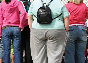 Obesity spreads in social networks