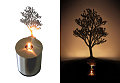 Simply Fab: Magnolia Oil Lamp