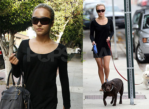 Celebrity Style: Hayden Panettiere 