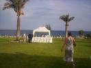 Wedding Venues