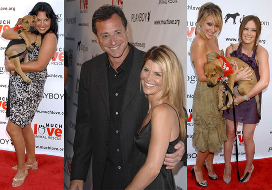 Celebs Love Playboy And Puppies
