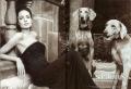 Angelina Goes To The Dogs For St. John