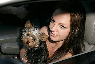 Britney Update: Music Video! No Rehab! Kevin's Eye!