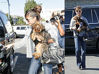 Nick Lachey and Vanessa Minnillo Celebrate Their Birthday in Las Vegas