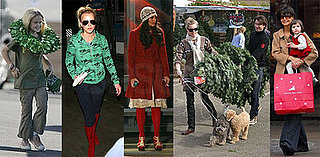 Pop Quiz, Hot Shot: Holiday Edition