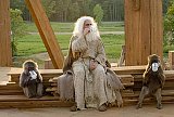 Give a tree - Get your name on the Evan Almighty DVD!