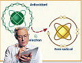 The Skinny on: Antioxidants