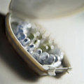 Myths on the Pill Debunked