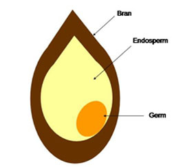 Whole Grains +  Breakfast = Heart Health