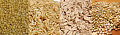 Fiber Quiz:  Grains