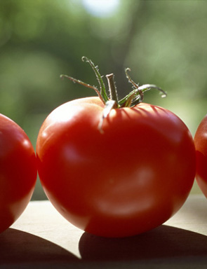 Is a Tomato a Fruit or a Vegetable?