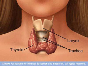 You Asked:  Thyroid Problems and Weight Gain