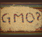 What Does "No GMO" Really Mean?