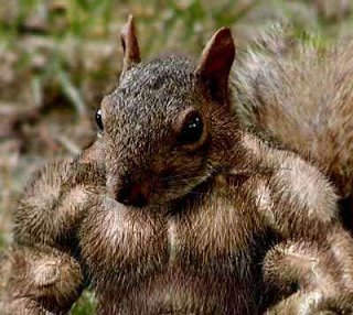 Go Nuts! Eat Healthy Fats