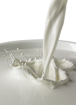 Milk, Mucus, and You: The Congestion Connection