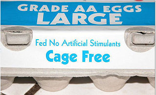 Label Able: Hormone Free Eggs
