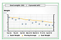 Track Your Progress Online: The Google 15