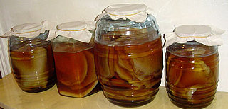 Kombucha Tea:  Fact or Fiction