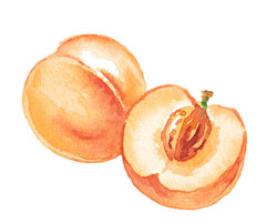 Not So Peachy: Pesticides and Peaches