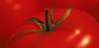 Flavonoid Alert!!!! Organic Tomatoes May Be Better For Your Heart