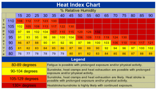 Tips For Exercising in the Humidity