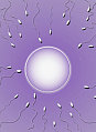 What Do You Know About Your Eggs and Ovulation?